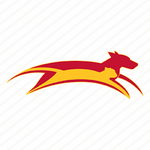 Horizon Pet logo