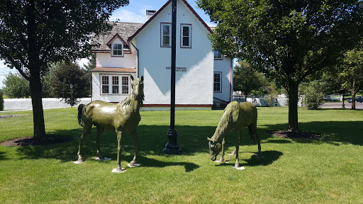 Bronze Mares