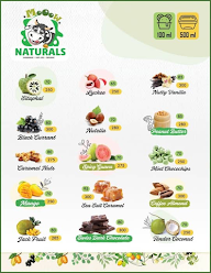 Natural Ice Cream menu 2