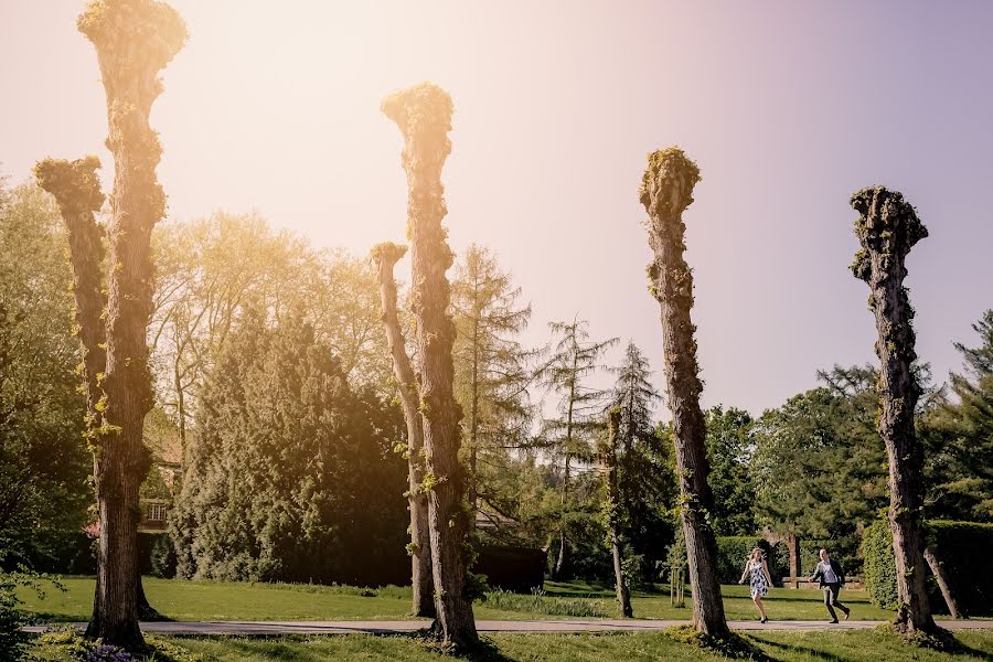 Fotógrafo de bodas Yancho Sabev (yanchosabev). Foto del 19 de octubre 2018