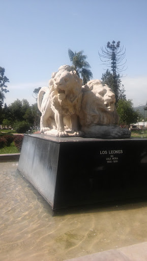 Los Leones