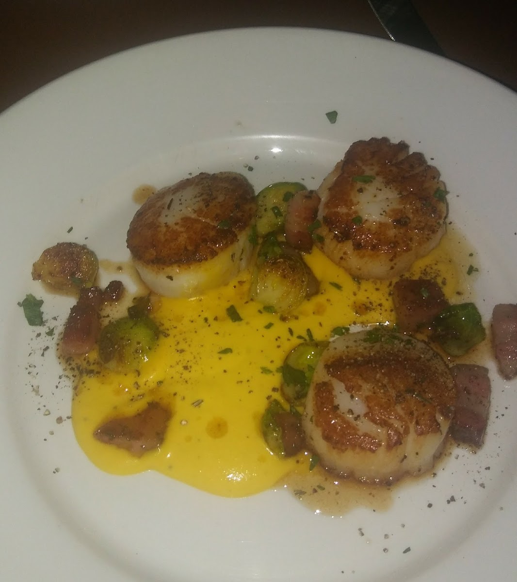 Scallops app