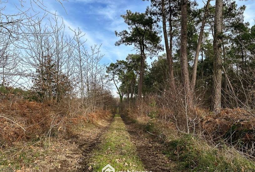  Vente Terrain à bâtir - à Corné (49630) 