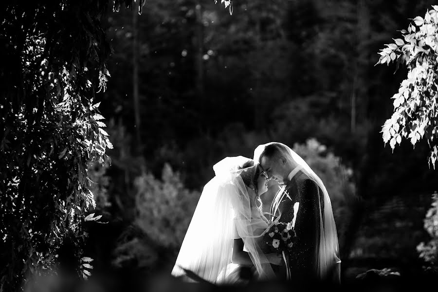 Fotógrafo de casamento Zoltan Sirchak (zoltansirchak). Foto de 21 de outubro 2018