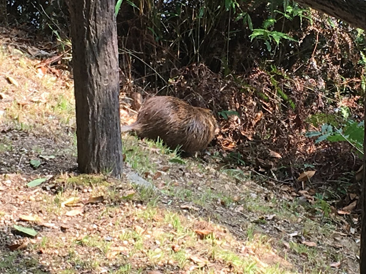 の投稿画像8枚目