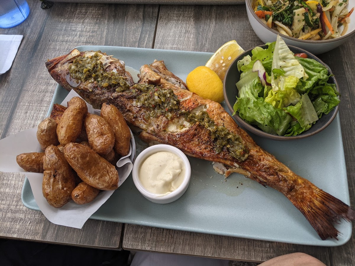 Whole Fish (Rock Cod)