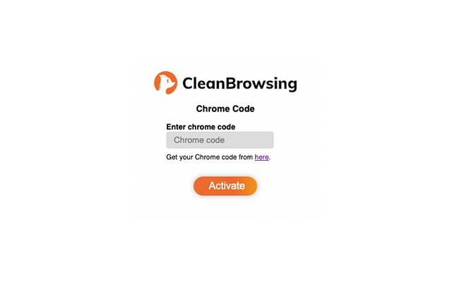 CleanBrowsing DNS Filtering for Schools Preview image 2