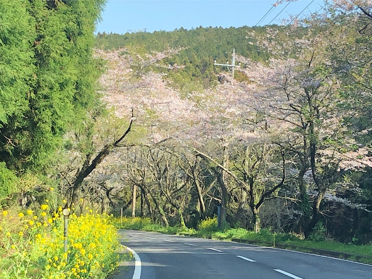 の投稿画像1枚目