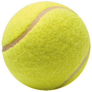 Tennis Touches logo