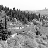 Vista dal castello di 