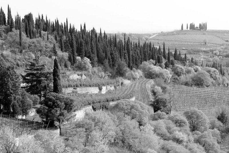 Vista dal castello di ucius