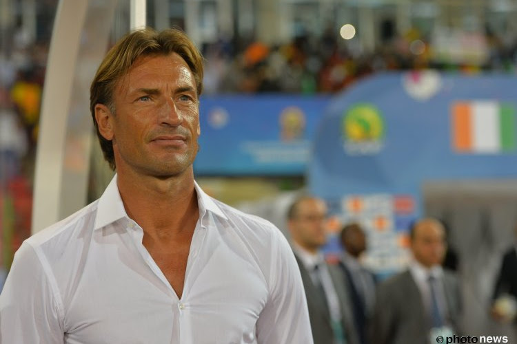 Hervé Renard fait ce qu'il faut pour devenir l'entraîneur de Lille