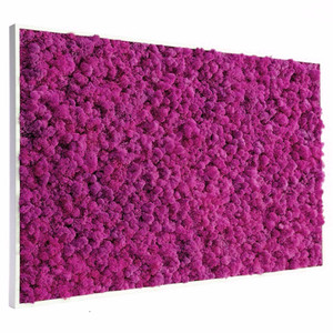 Tableau végétal stabilisé Lichen rose 60 x 80 cm