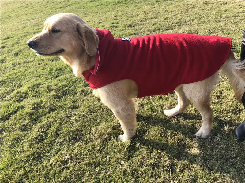 Title 4, Vêtements pour chiens automne et hiver, nouveau...