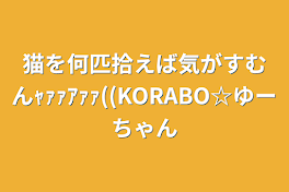 猫を何匹拾えば気がすむんｬｧｧｱｧｧ((KORABO☆ゆーちゃん