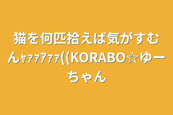 「猫を何匹拾えば気がすむんｬｧｧｱｧｧ((KORABO☆ゆーちゃん」のメインビジュアル