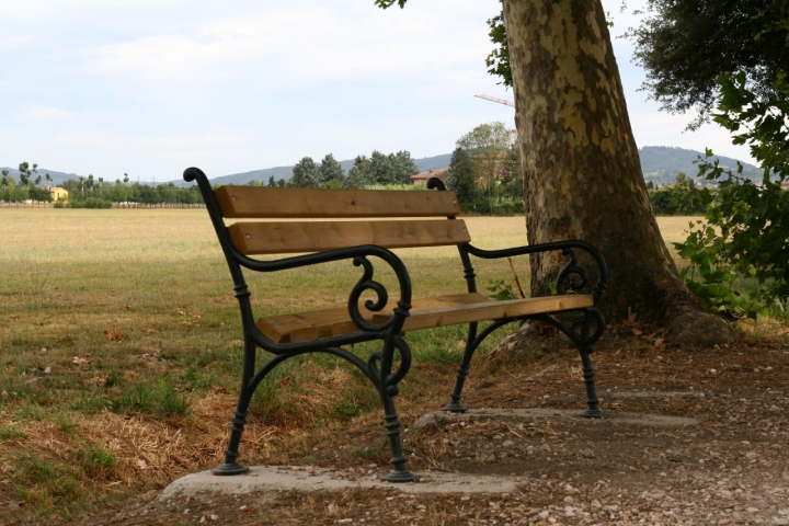 Nel Viale di Calimero