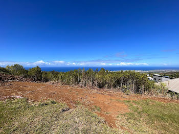 terrain à Saint Pierre (974)