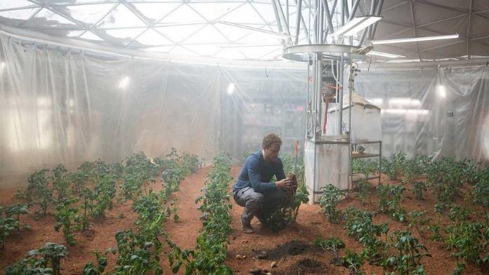 1. THE MARTIAN  4