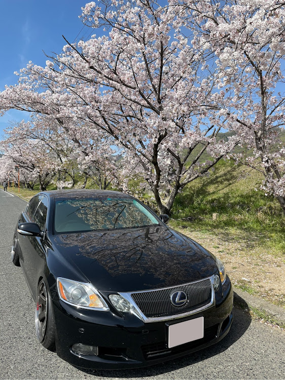 GSのレクサス・19GS・RAYS・TE37SL・桜と愛車に関するカスタム事例の投稿画像1枚目