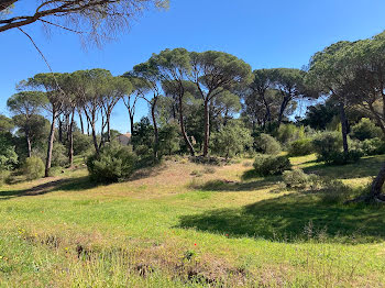 maison à Vidauban (83)