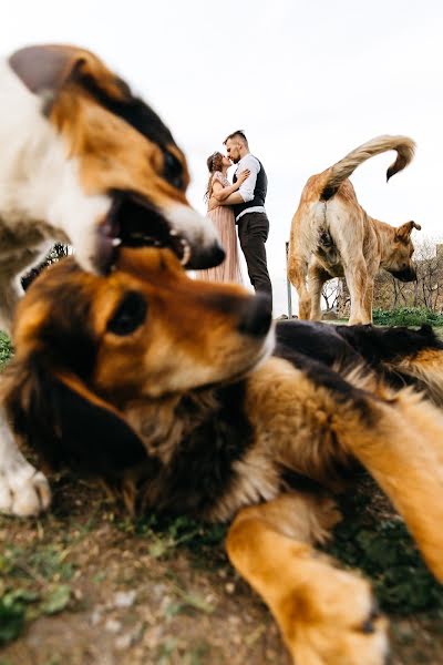 Hochzeitsfotograf Maksim Dobryy (dobryy). Foto vom 27. September 2019