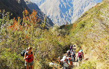 Inca Trail New Tab, Wallpapers HD small promo image