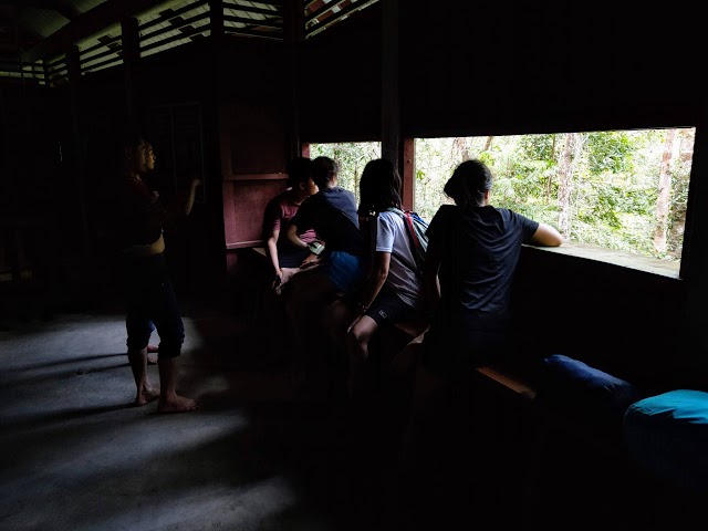 Bumbun Rimau Taman Negara wildlife watching