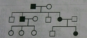 Pedigree Analysis