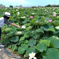 林家古厝休閒農場