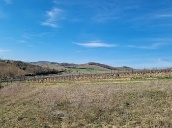 terrain à Lasserre-de-Prouille (11)