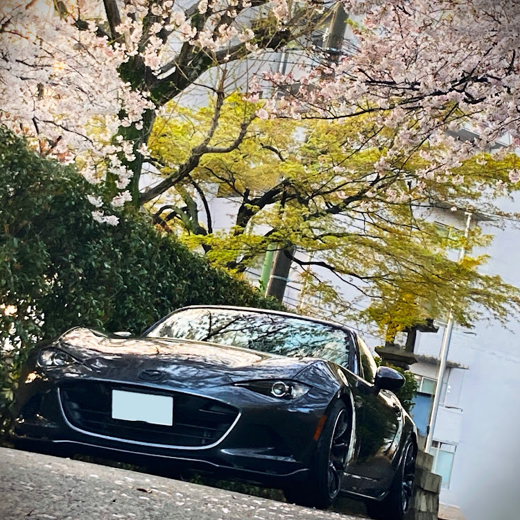ロードスターのボーッと生きてます・NDロードスター・桜と愛車・テレビに関するカスタム事例の投稿画像1枚目
