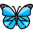 Aesthetic Butterfly Wallpapers New Tab