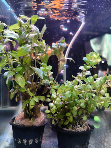 Aquatic Heaven — business photo 1