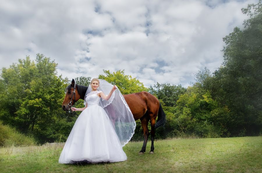 Svadobný fotograf Darya Dremova (dashario). Fotografia publikovaná 23. decembra 2016