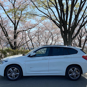 X1 xDrive 18d