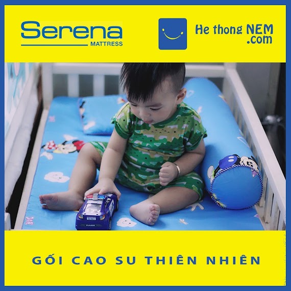 Bộ Gối Đệm Nệm Nằm Ngủ Cao Su Non Cho Bé Sơ Sinh Serena Cao Cấp 4 Món, Đệm Nệm Ngủ Cho Bé Sơ Sinh Đi Học - Hệ Thống Nệm