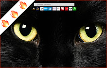 Chrome Black Style New Tab small promo image