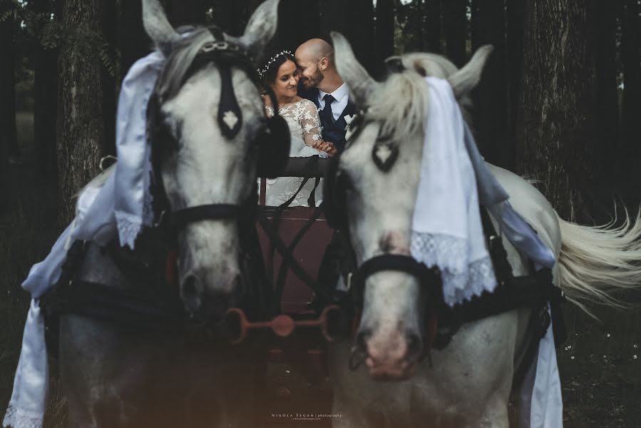 Photographe de mariage Nikola Segan (nikolasegan). Photo du 14 juin 2019