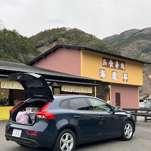 V40