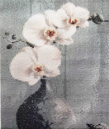 Title 2, Full Square Round Diamond Painting Cross Stitch...