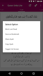 Quran Urdu Translations Lite - náhled