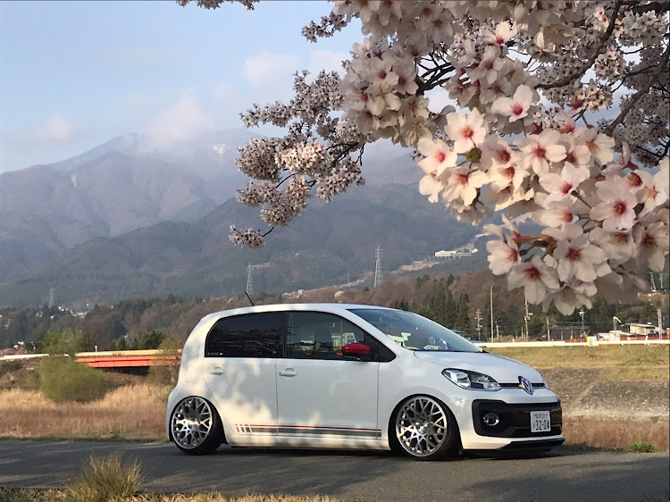 アップ！の桜と愛車・桜・ドライブに関するカスタム事例の投稿画像3枚目