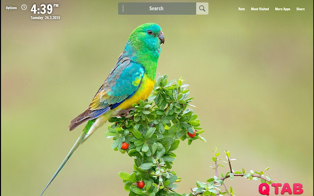 Parrot New Tab Parrot Wallpapers