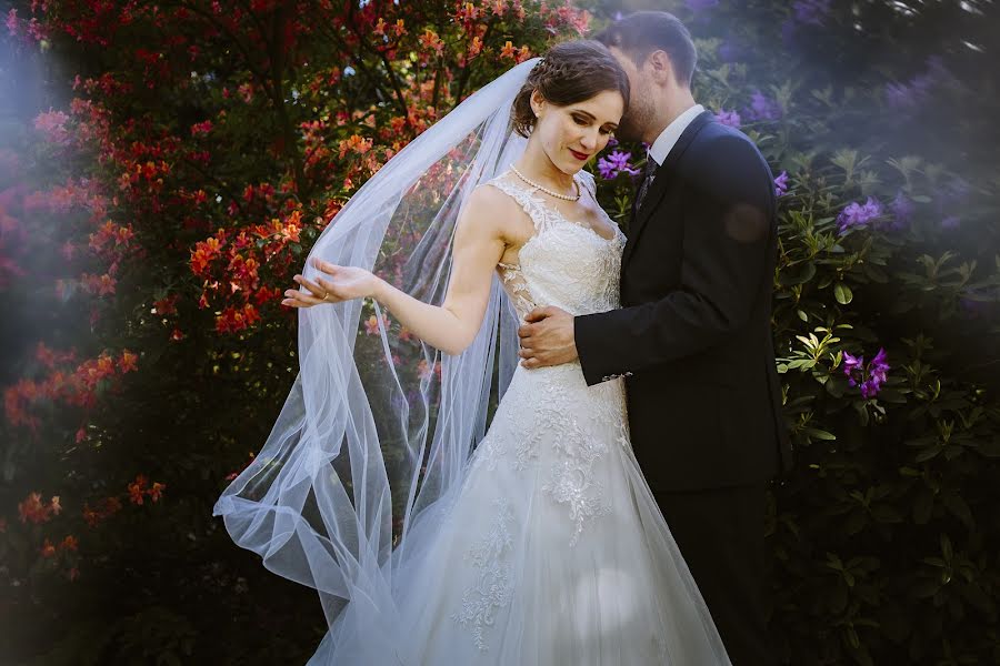 Photographe de mariage Rosa Engel (rosaengel). Photo du 18 juin 2019