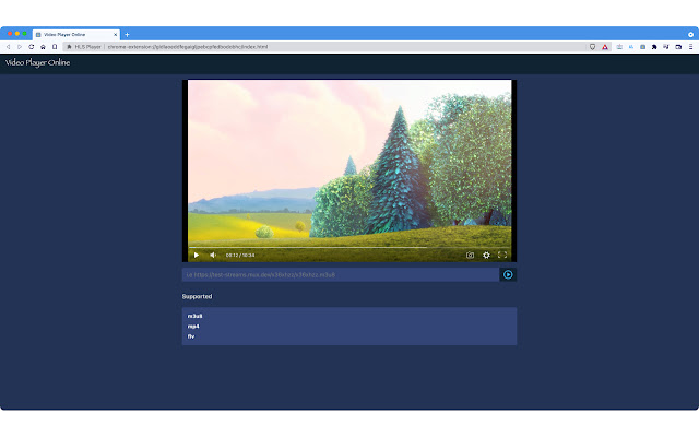 Video Player Online