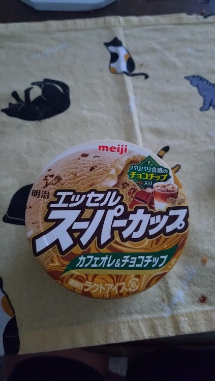 ステージアのてつやんさんが投稿したカスタム事例の投稿画像15枚目