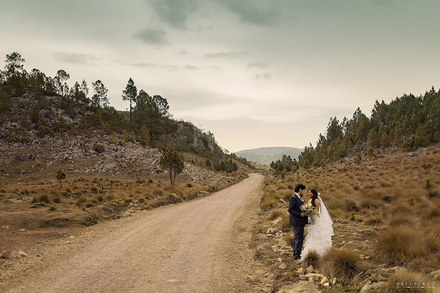 結婚式の写真家Abel Perez (abel7)。2017 8月23日の写真