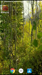 Autumn Forest Video Wallpaper screenshot 3