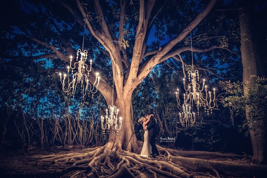 Fotógrafo de casamento Sonia Aloisi (soniaaloisi). Foto de 2 de novembro 2017